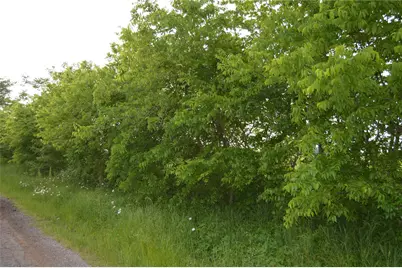 Tbd Lot 2 Rs County Road 1520, Point, TX 75472 - Photo 11