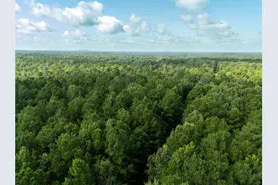 0 Ginger Road, Gilmer, TX 75644 - Photo 5