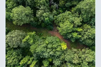 0 Ginger Road, Gilmer, TX 75644 - Photo 3