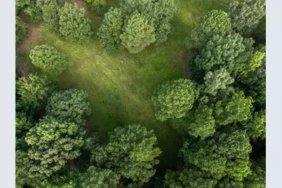 0 Ginger Road, Gilmer, TX 75644 - Photo 7