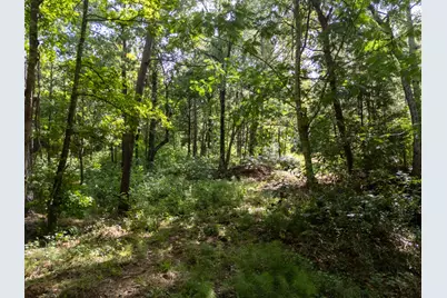 0 Ginger Road, Gilmer, TX 75644 - Photo 9