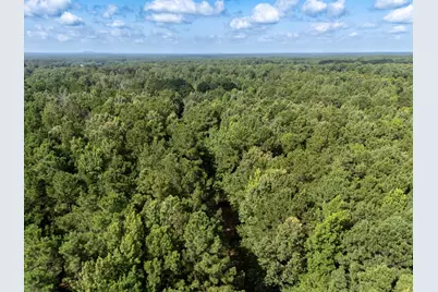 0 Ginger Road, Gilmer, TX 75644 - Photo 15