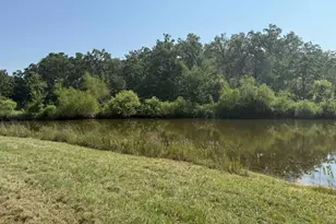 928 Co Rd 1660, Alba, TX 75410 - Photo 9