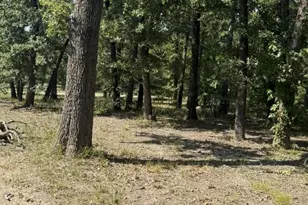 928 Co Rd 1660, Alba, TX 75410 - Photo 15