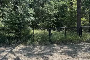 928 Co Rd 1660, Alba, TX 75410 - Photo 13