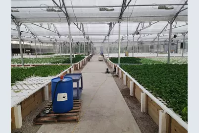 411 Koldin Drive, Aledo, TX 76008 - Photo 5