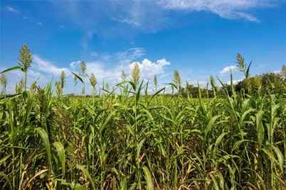 395 County Road 2530, Meridian, TX 76665 - Photo 3