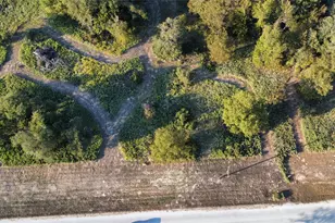 Tbd Muy Grande Rd, Nocona, TX 76255 - Photo 1