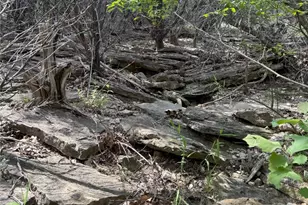 Tbd 2010, Glen Rose, TX 76043 - Photo 15