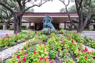 3353 Dorado Beach Dr, Farmers Branch, TX 75234 - Photo 11