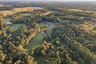 374 Co Rd 104, Carthage, TX 75633 - Photo 39