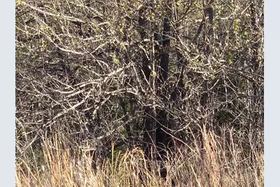 Lot 20 Sunrise W, Corsicana, TX 75109 - Photo 27