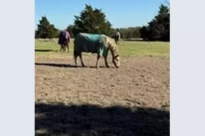 102 Red Maple Road, Gunter, TX 75058 - Photo 9