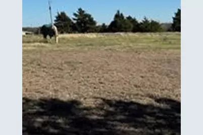 102 Red Maple Road, Gunter, TX 75058 - Photo 3