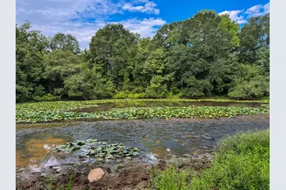 00 Hwy 49, Jefferson, TX 75657 - Photo 3