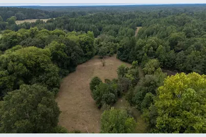 00 Hwy 49, Jefferson, TX 75657 - Photo 5