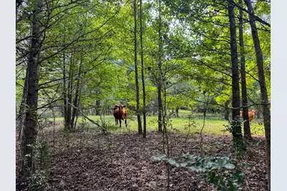 00 Hwy 49, Jefferson, TX 75657 - Photo 11