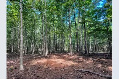 00 Hwy 49, Jefferson, TX 75657 - Photo 13