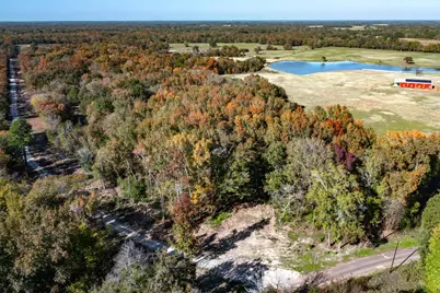 29.51+/- Acres Fm 773, Grand Saline, TX 75140 - Photo 3