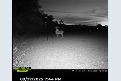 205 Country Lane, Malakoff, TX 75148 - Photo 31