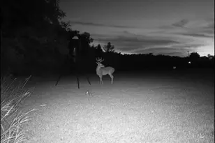 205 Country Ln, Malakoff, TX 75148 - Photo 31