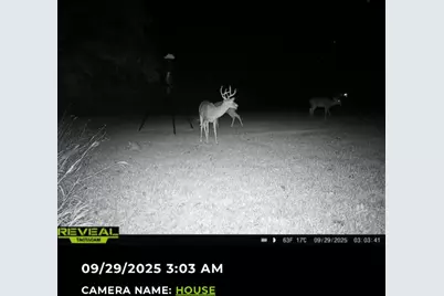 205 Country Lane, Malakoff, TX 75148 - Photo 29