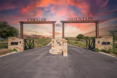 3616 Lucky Pepper Drive, Cresson, TX 76035 - Photo 3