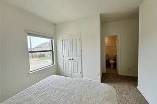 16601 Hidden Cove Dr, Celina, TX 75009 - Photo 23