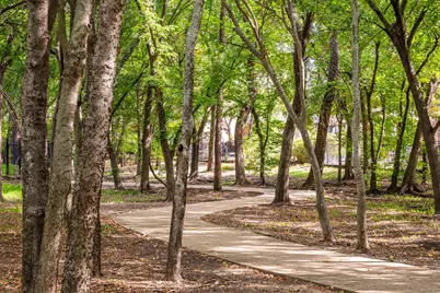 920 White River Drive, Allen, TX 75013 - Photo 5