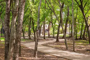 920 White River Dr, Allen, TX 75013 - Photo 5