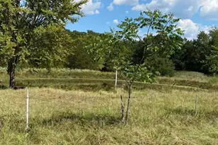 1000 Sundance Dr, West Tawakoni, TX 75474 - Photo 3