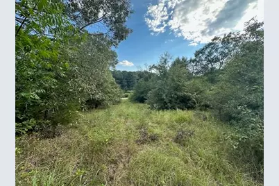 Tbd Vz Cr 1823, Grand Saline, TX 75140 - Photo 3