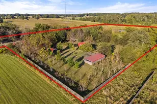 661 Vzcr 4406, Ben Wheeler, TX 75754 - Photo 3