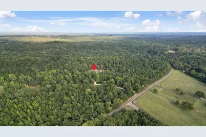 2356 An County Road 403, Palestine, TX 75803 - Photo 39