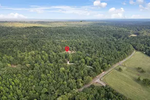 2356 An County Road 403, Palestine, TX 75803 - Photo 39