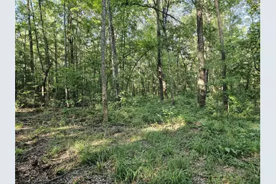 Tbd Strickland Road, Big Sandy, TX 75755 - Photo 1