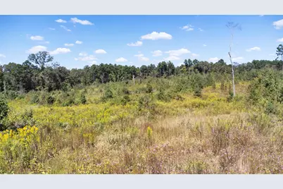 0 Fm 850, Arp, TX 75750 - Photo 5