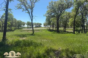 Lot 62 & 63 Camden Ln, Springtown, TX 76082 - Photo 1