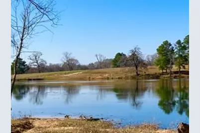 16 Private Road 3398, Big Sandy, TX 75755 - Photo 3