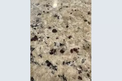 171 Chamberlain Drive, Fate, TX 75189 - Photo 11