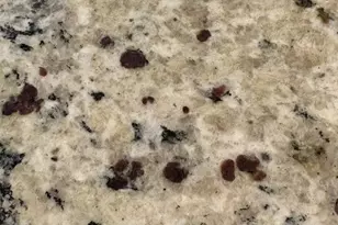 171 Chamberlain Dr, Fate, TX 75189 - Photo 11