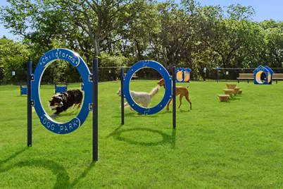 1014 Butterfly Lane, Justin, TX 76247 - Photo 13