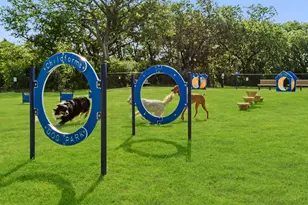 1014 Butterfly Ln, Justin, TX 76247 - Photo 13