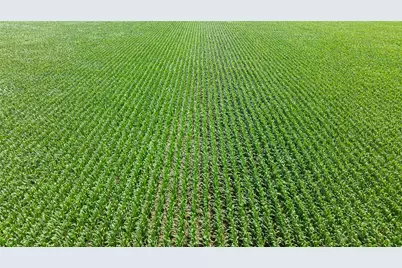 Tbd Siler Road, Moody, TX 76557 - Photo 13