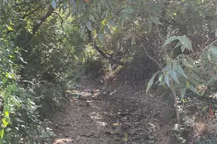 8022 Claremont Dr, Dallas, TX 75228 - Photo 31