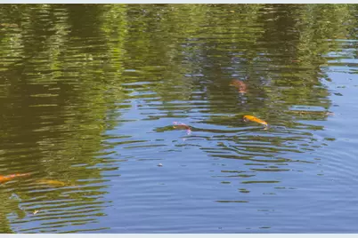 6319 Turner Way, Dallas, TX 75230 - Photo 31