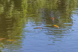 6319 Turner Way, Dallas, TX 75230 - Photo 31