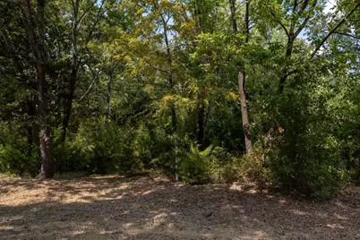 6132 Tejas Drive, Mabank, TX 75156 - Photo 3