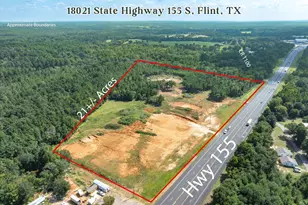 18021 State Hwy 155 S, Flint, TX 75762 - Photo 1