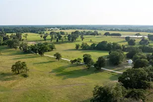 12301 N Holland St, Eustace, TX 75124 - Photo 11